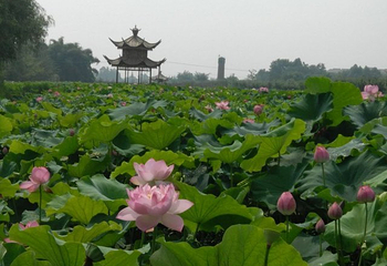 蜀国鹃都第 24 张图片