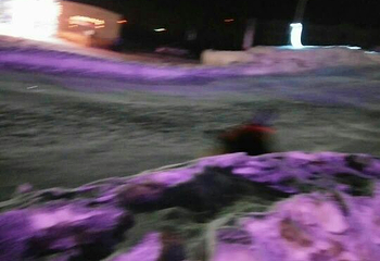 冰源世纪冰雪王国第 52 张图片