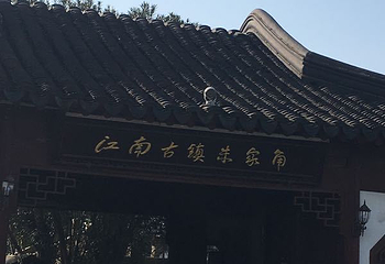 圆津禅院第 25 张图片