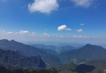 金佛山第 165 张图片