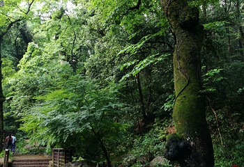 灵峰山-灵峰寺第 27 张图片