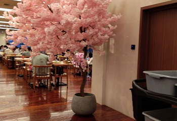 汤连得温泉馆（118店）第 32 张图片