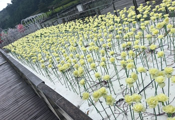 珍珠泉水上世界第 12 张图片