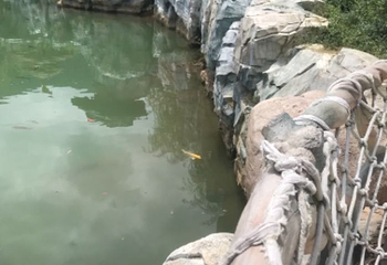 贵州九仙旅游景区第 116 张图片
