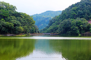 石门国家森林公园第 47 张图片