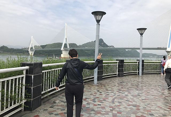 夷陵长江大桥第 19 张图片
