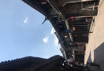 黄龙溪蝴蝶迎新主题园第 20 张图片