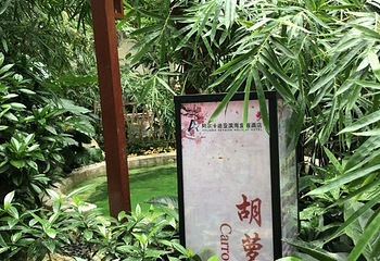 阿尔卡迪亚滨海度假酒店荣和心苑温泉第 16 张图片