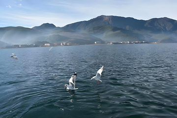 泸沽湖第 18 张图片