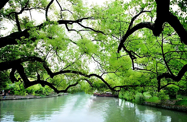 西溪国家湿地公园第 44 张图片