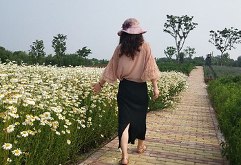 同里国家湿地公园第 11 张图片