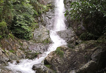 东天目山景区第 44 张图片