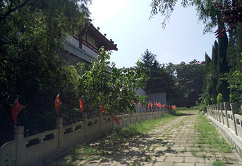 北戴河博物馆第 16 张图片