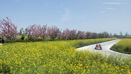 同心花海第 23 张图片