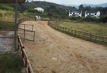 南山漂流第 33 张图片