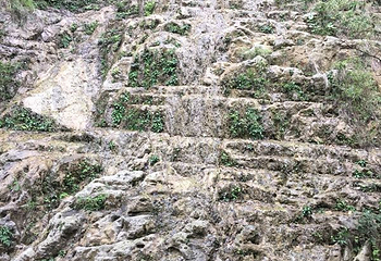 香火岩景区第 19 张图片