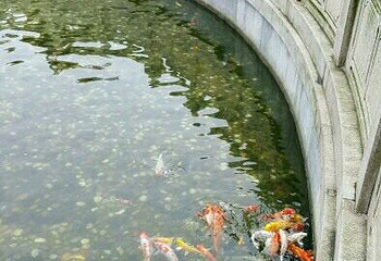 茨场街关帝庙第 24 张图片