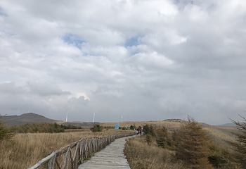 红崖峡谷第 26 张图片