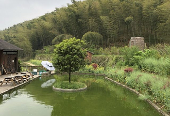 浙东大竹海景区第 46 张图片