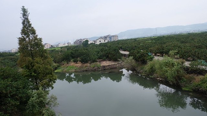 中国柑橘博览园第 24 张图片