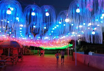 37度梦幻海水乐园第 24 张图片
