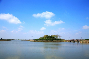 东滩湿地公园第 50 张图片