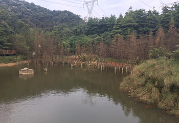 帽峰山景区第 47 张图片