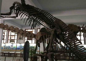 成都理工大学恐龙数字博物馆