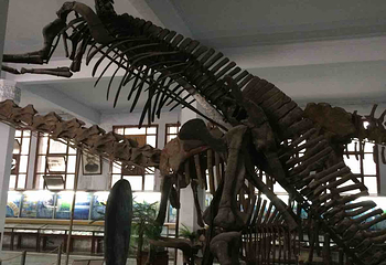 成都理工大学恐龙数字博物馆第 1 张图片