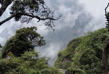 金秀圣堂山景区第 35 张图片