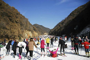 甘山森林滑雪场第 6 张图片