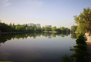 咸阳湖景区渭滨公园第 15 张图片