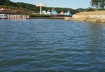 岗山花海第 34 张图片