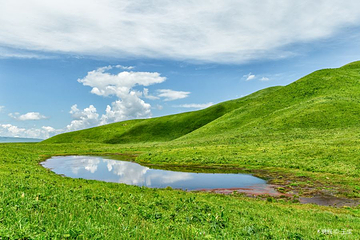 那拉提旅游风景区第 29 张图片