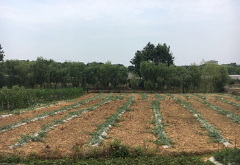 梁湖漫乡旅游度假区第 14 张图片