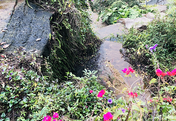 鸿山公园第 8 张图片