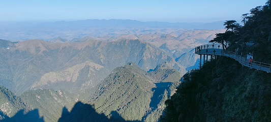莽山五指峰景区第 47 张图片