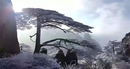黄山风景区第 19 张图片