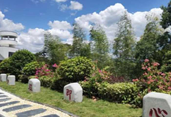 阳明山国家森林公园第 40 张图片