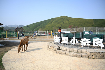 原乡小镇度假乐园第 16 张图片