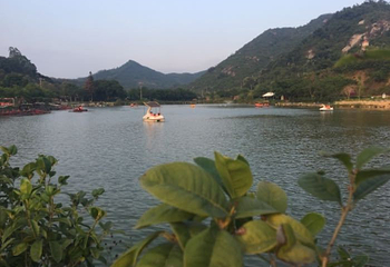 小黄山景区第 30 张图片