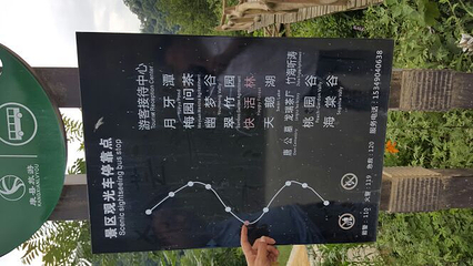 陇南阳坝梅园沟第 18 张图片