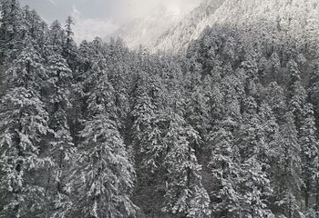 泸定桥景区第 45 张图片