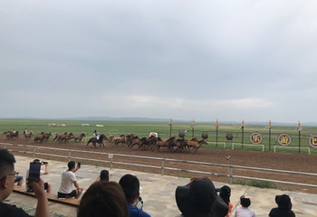 呼伦贝尔大草原巴尔虎蒙古部落民俗旅游度假景区第 29 张图片