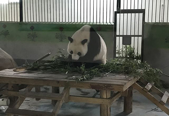 德州动植物园第 27 张图片