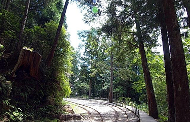 太平山森林游乐区第 18 张图片