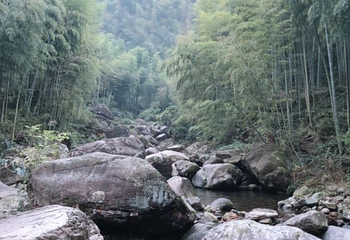 安吉天目山漂流第 29 张图片