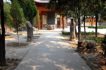 青龙寺第 16 张图片