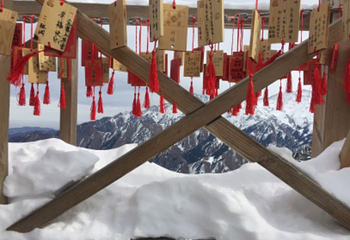 天山天池区间车第 18 张图片