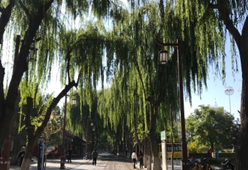 张掖大佛寺第 130 张图片